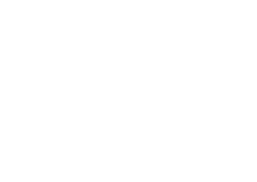 Rising Stars Development 